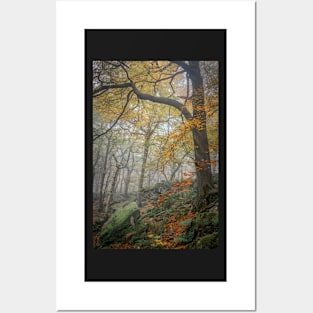 Autumn Trees and Rocks in Mist Posters and Art